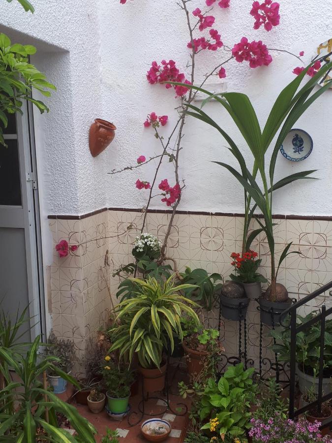 The Jasmine House 호텔 올베라 외부 사진