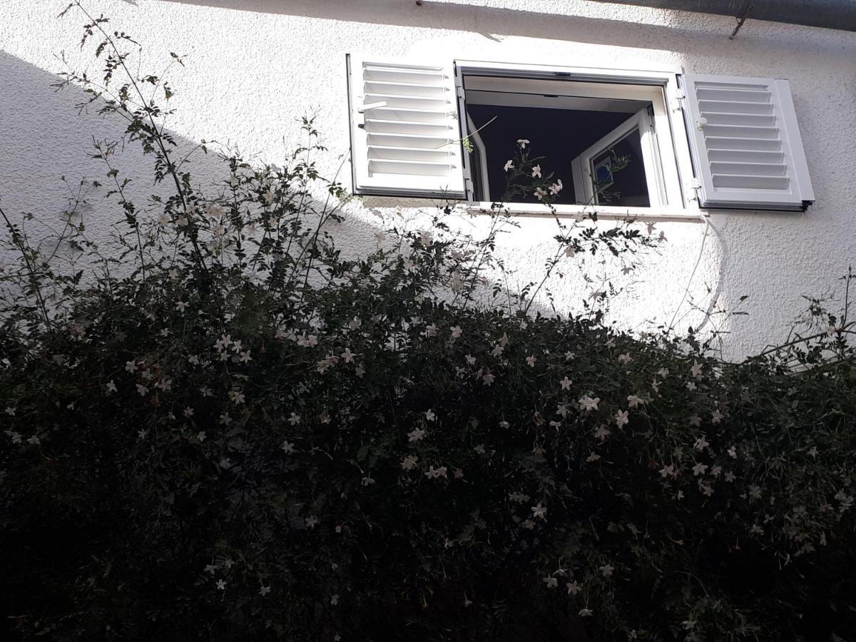 The Jasmine House 호텔 올베라 외부 사진
